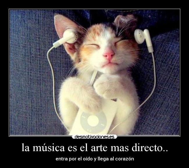 la música es el arte mas directo.. - 