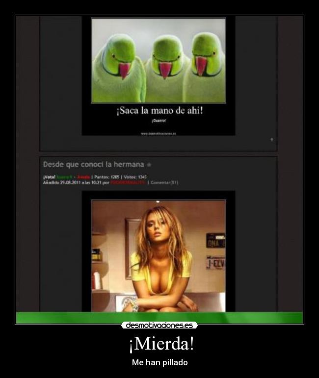 carteles pajas estas leyendo esto que muerto tetas pajaros verdes desmotivaciones