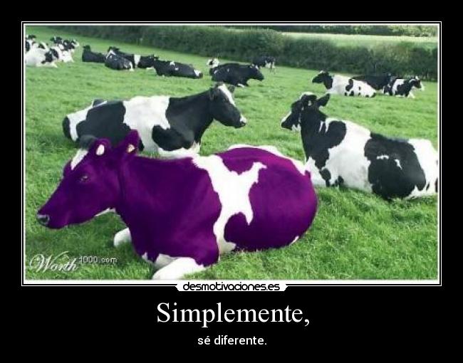 carteles nn desmotivaciones