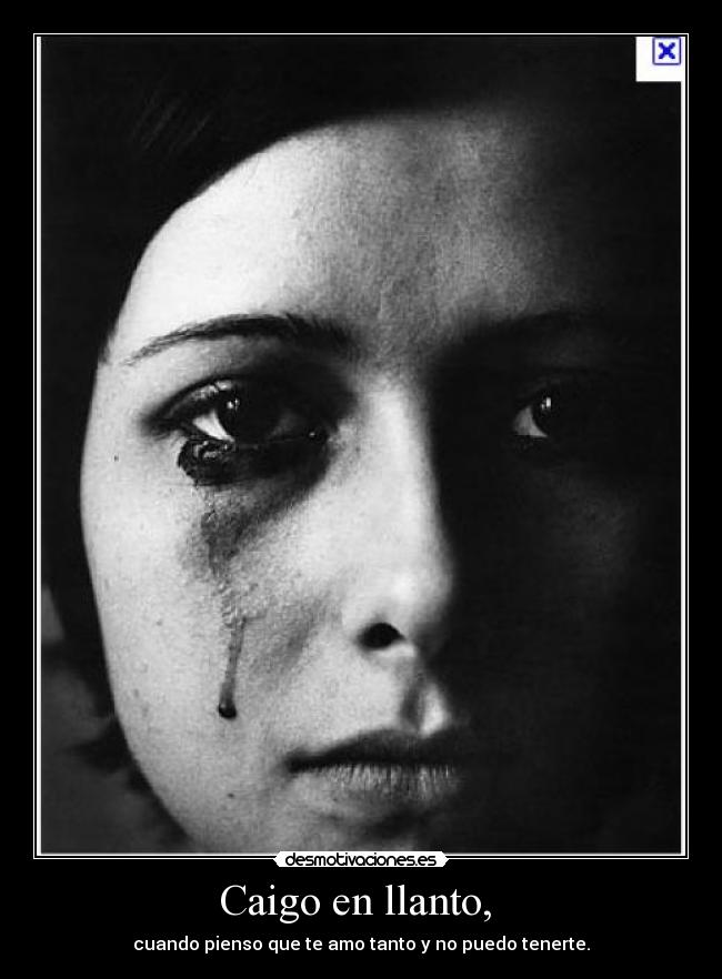 carteles llanto desmotivaciones