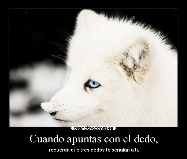 carteles aliandrastyle desmotivaciones