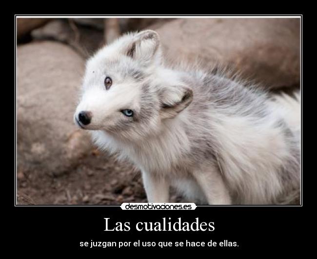 Las cualidades -