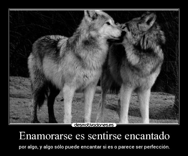 Enamorarse es sentirse encantado - 