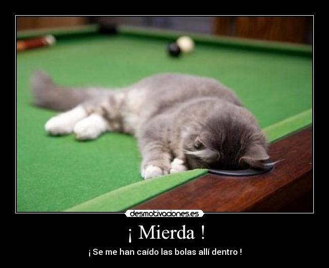 ¡ Mierda ! - ¡ Se me han caído las bolas allí dentro !