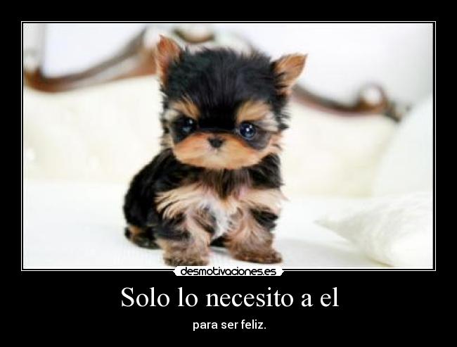 Solo lo necesito a el - para ser feliz.