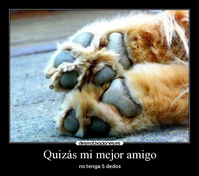 carteles mejor amigo desmotivaciones