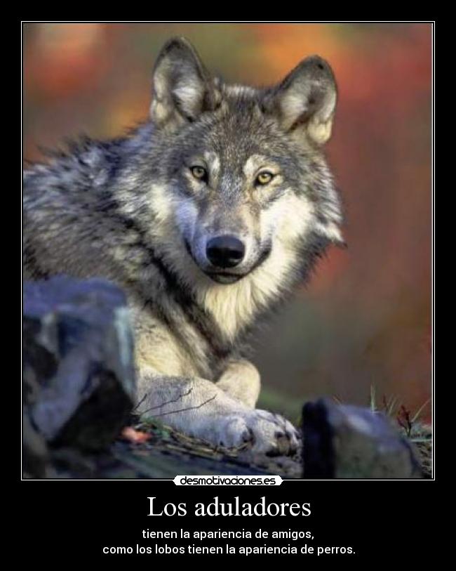 carteles lobo desmotivaciones