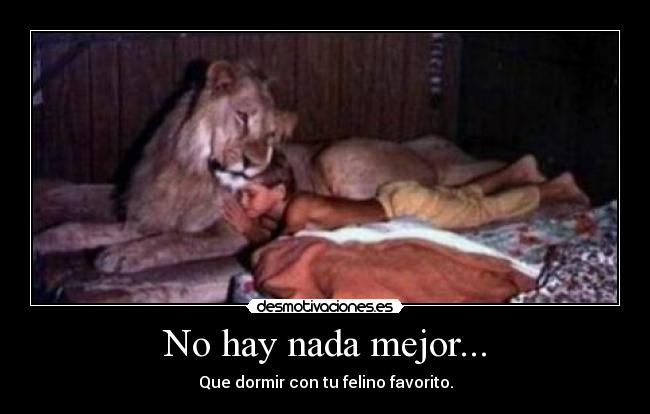 No hay nada mejor... -