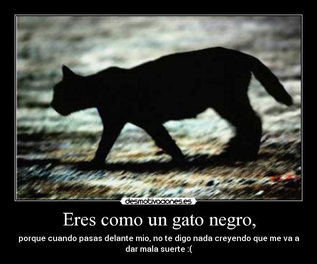 carteles gato suerte negro desmotivaciones