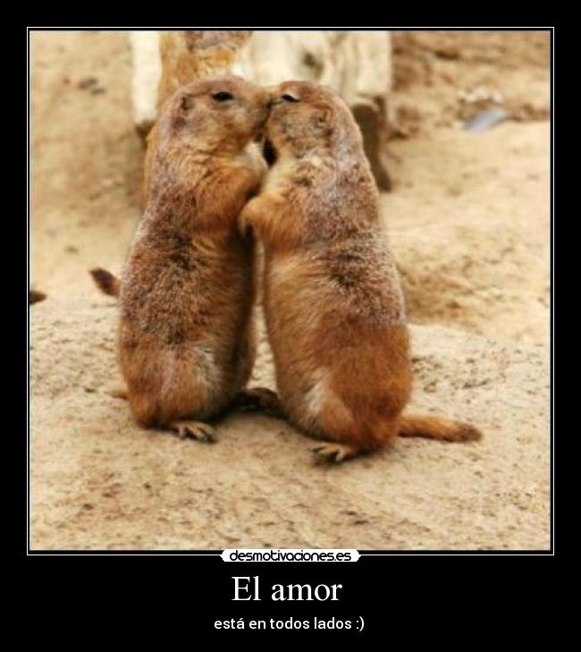 El amor - está en todos lados :) ♥