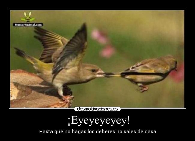 ¡Eyeyeyeyey! - Hasta que no hagas los deberes no sales de casa