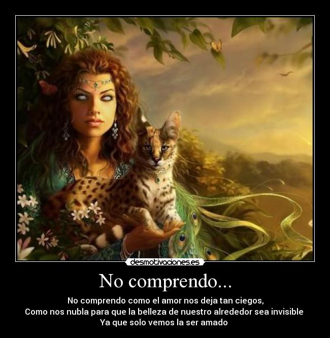 No comprendo... - 