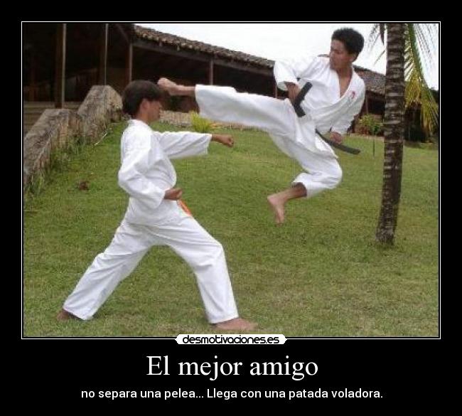 El mejor amigo - no separa una pelea... Llega con una patada voladora.