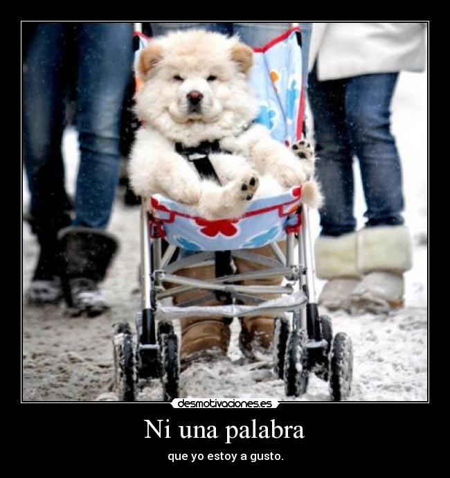 Ni una palabra -