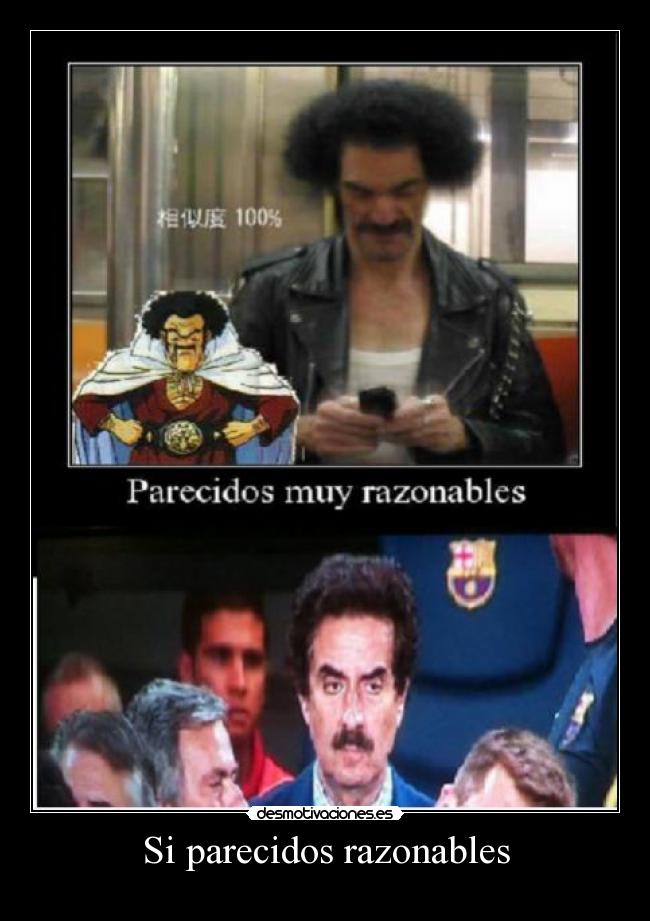 Si parecidos razonables -