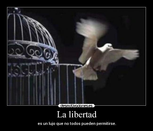 La libertad - es un lujo que no todos pueden permitirse.