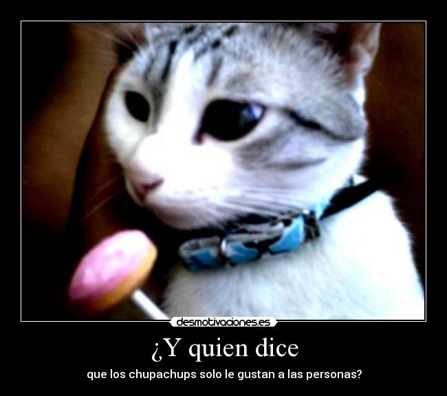 ¿Y quien dice - que los chupachups solo le gustan a las personas?