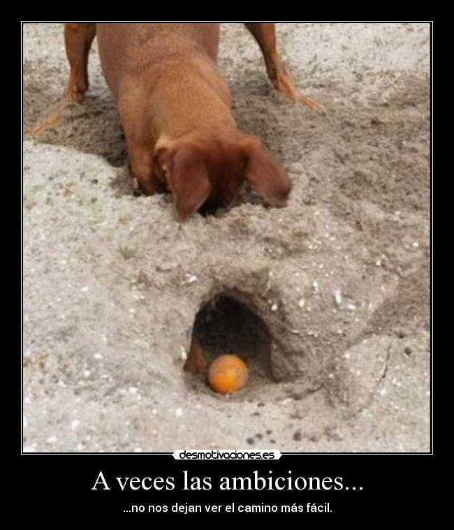 A veces las ambiciones... - ...no nos dejan ver el camino más fácil.