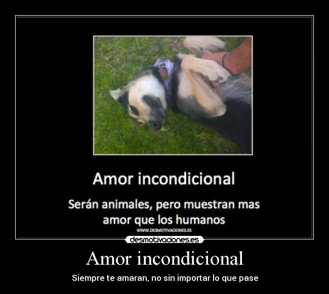 Amor incondicional - Siempre te amaran, no sin importar lo que pase
