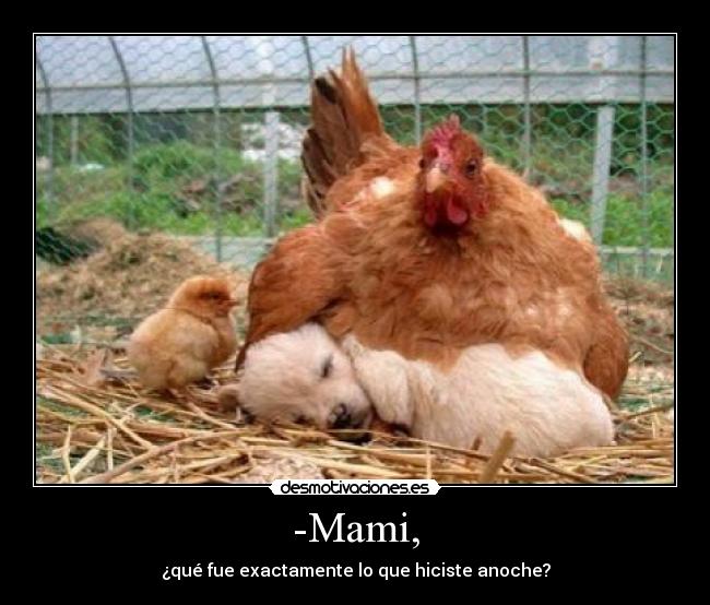 -Mami, - ¿qué fue exactamente lo que hiciste anoche?