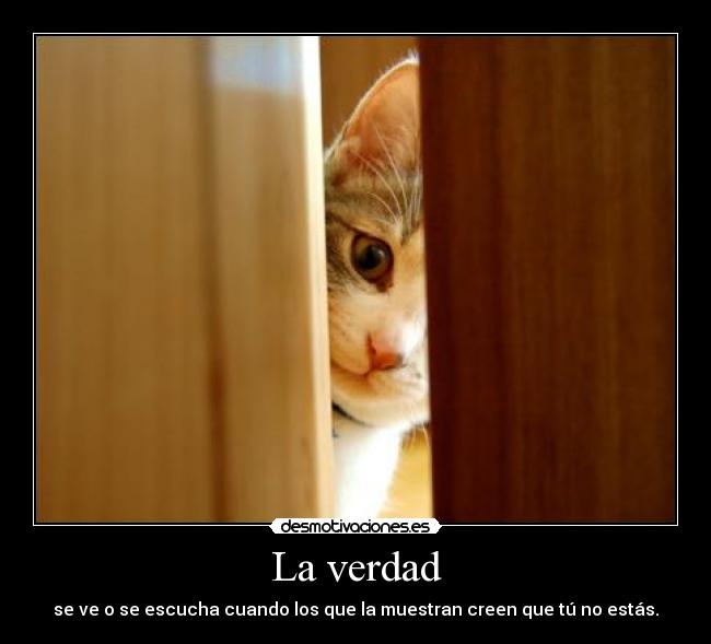 La verdad - se ve o se escucha cuando los que la muestran creen que tú no estás.