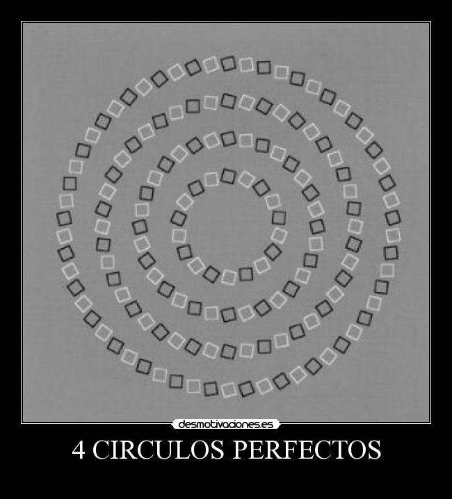 4 CIRCULOS PERFECTOS - 