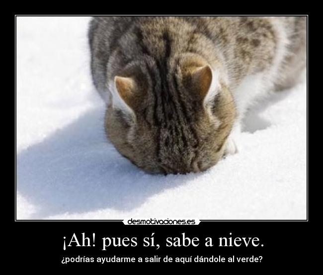 ¡Ah! pues sí, sabe a nieve. - ¿podrías ayudarme a salir de aquí dándole al verde?