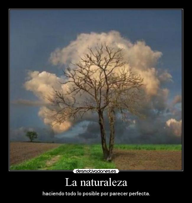 La naturaleza - haciendo todo lo posible por parecer perfecta.