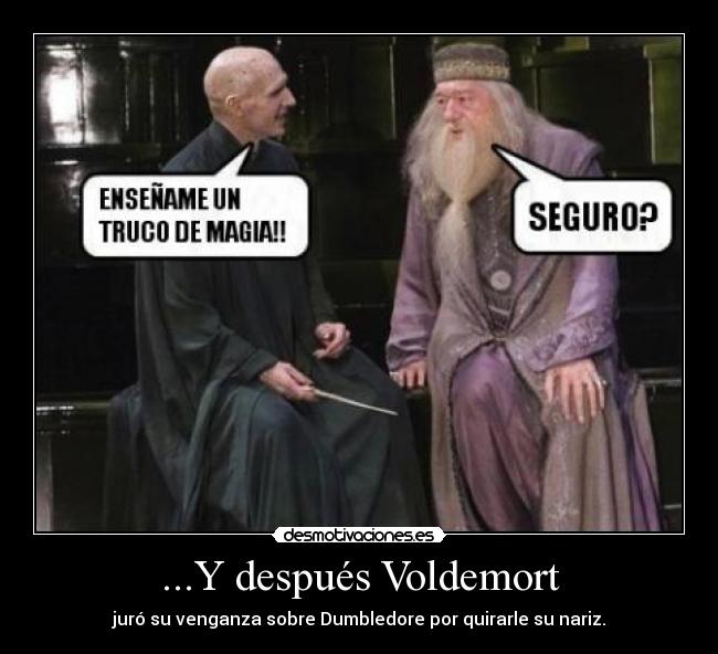 ...Y después Voldemort - juró su venganza sobre Dumbledore por quirarle su nariz.