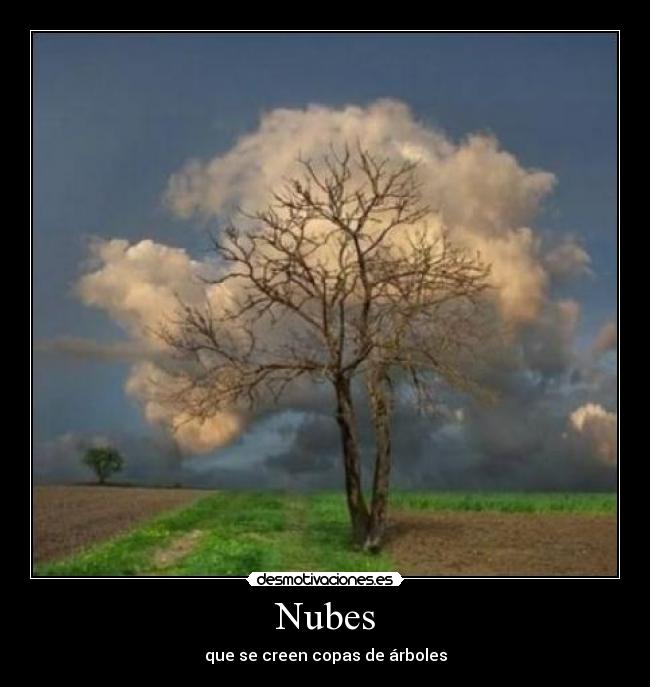 Nubes - que se creen copas de árboles