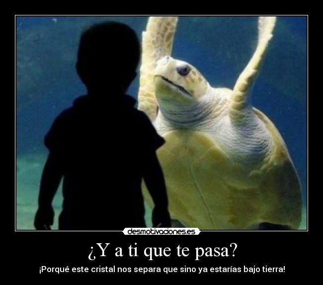 ¿Y a ti que te pasa? - 