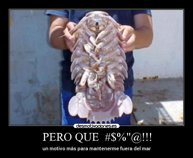 carteles mar desmotivaciones