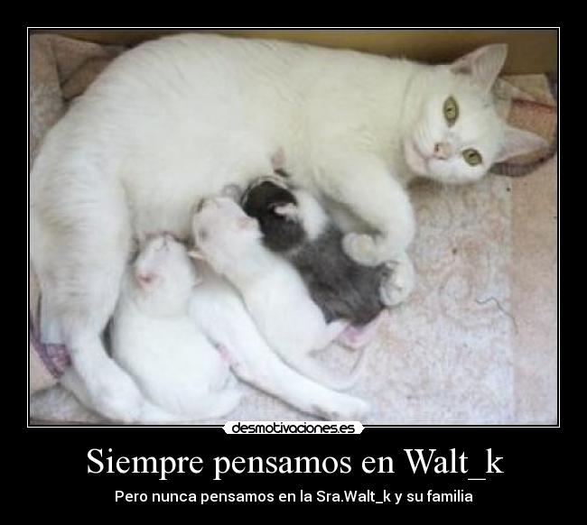 Siempre pensamos en Walt_k -