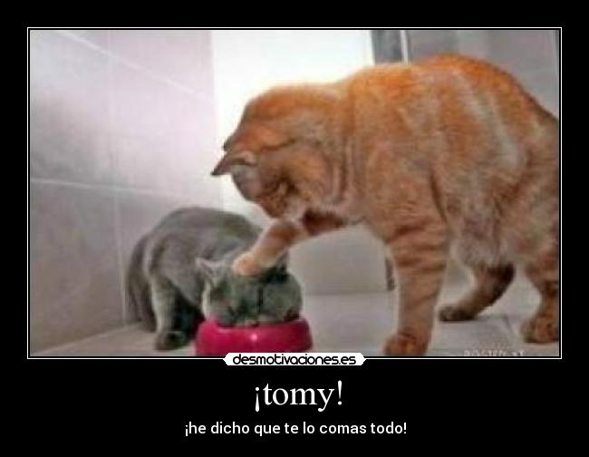 carteles cometelo todo desmotivaciones