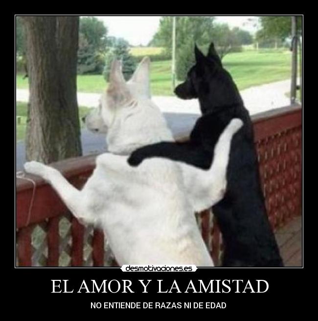 EL AMOR Y LA AMISTAD -
