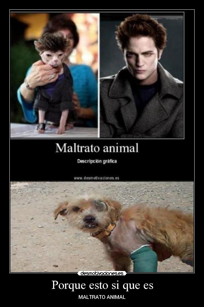 Porque esto si que es - MALTRATO ANIMAL