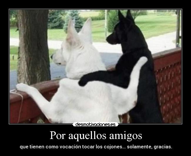 Por aquellos amigos - que tienen como vocación tocar los cojones... solamente, gracias.