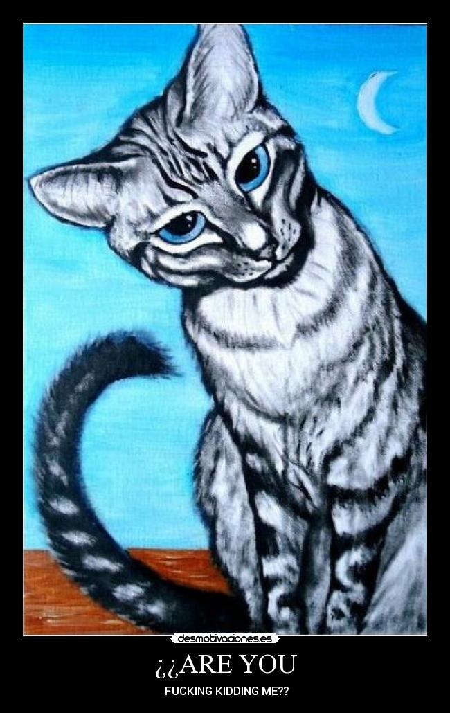¿¿ARE YOU -  FUCKING KIDDING ME??