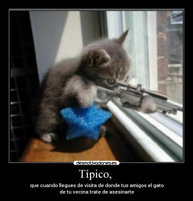 Típico, - que cuando llegues de visita de donde tus amigos el gato
de tu vecina trate de asesinarte