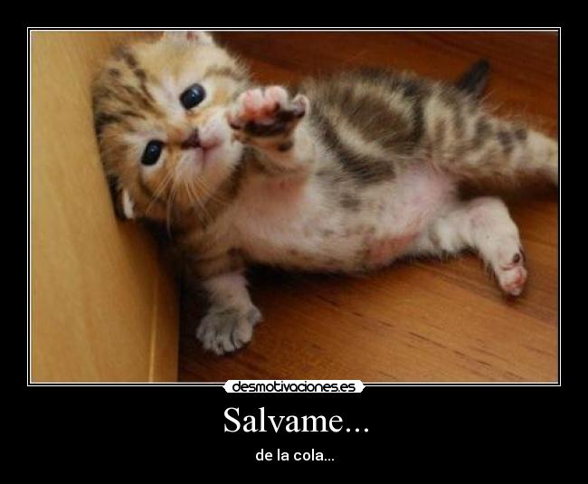 Salvame... - de la cola...