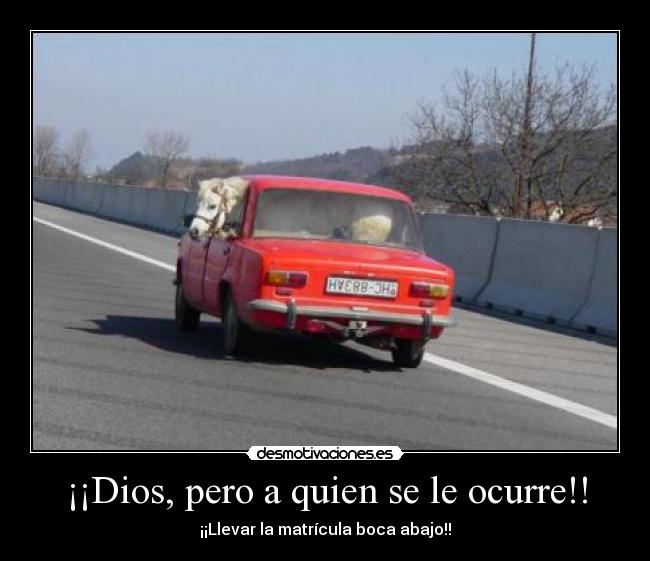 ¡¡Dios, pero a quien se le ocurre!! -