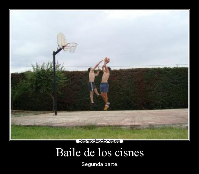 Baile de los cisnes - Segunda parte.