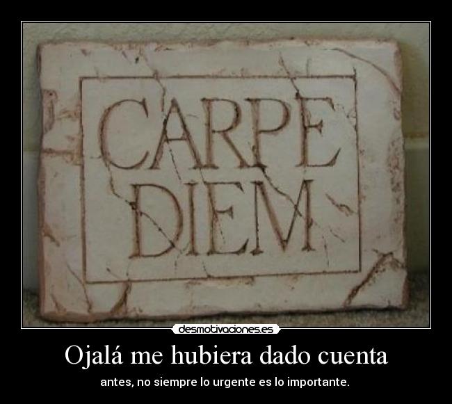 Ojalá me hubiera dado cuenta - 