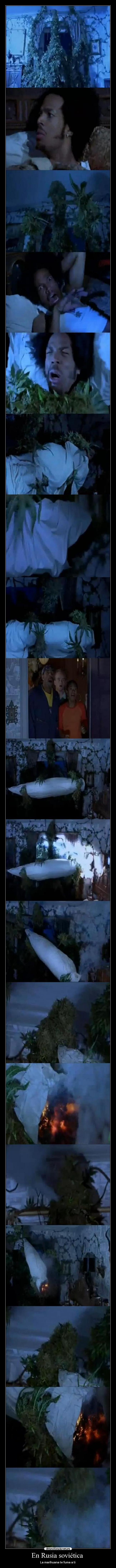 En Rusia soviética - La marihuana te fuma a ti