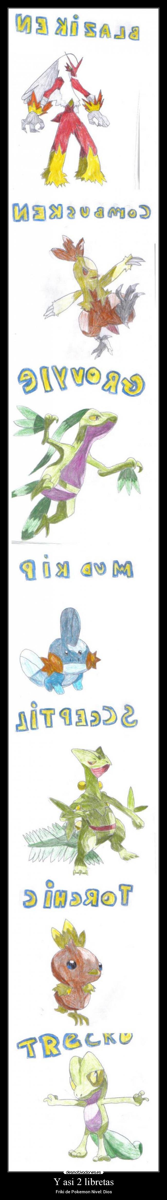 Y asi 2 libretas - Friki de Pokemon Nivel: Dios