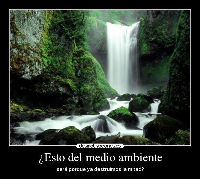¿Esto del medio ambiente - 