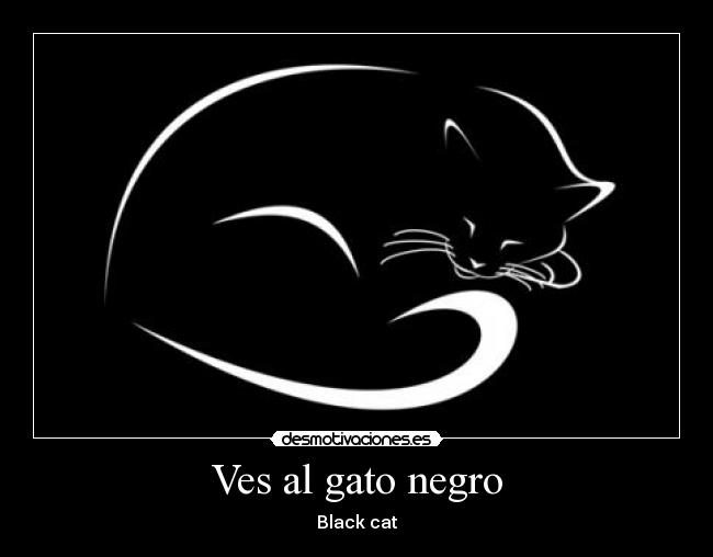 Ves al gato negro -