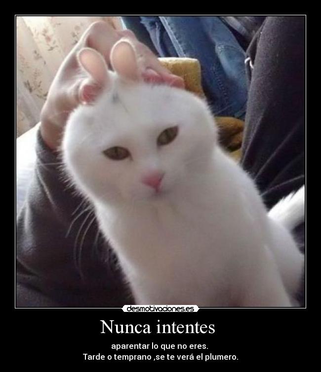 Nunca intentes - aparentar lo que no eres.
Tarde o temprano ,se te verá el plumero.