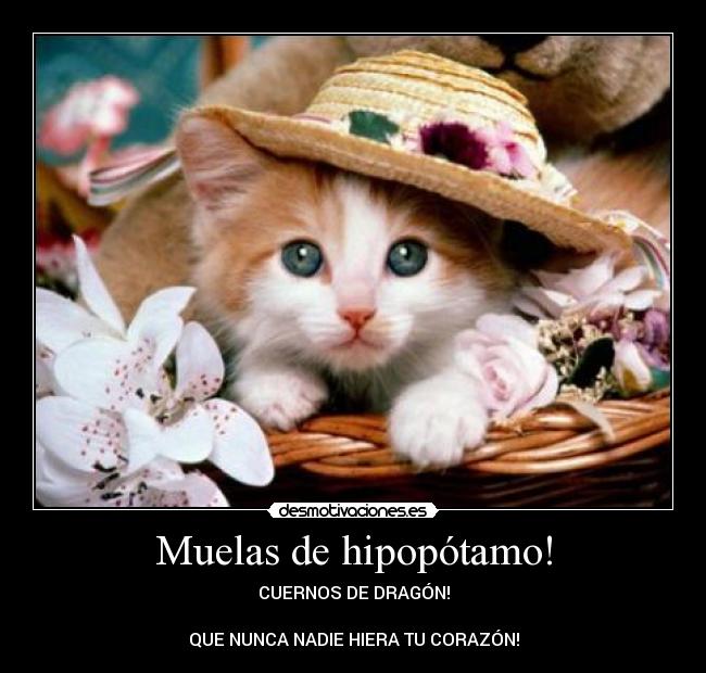 Muelas de hipopótamo! - CUERNOS DE DRAGÓN!
QUE NUNCA NADIE HIERA TU CORAZÓN!