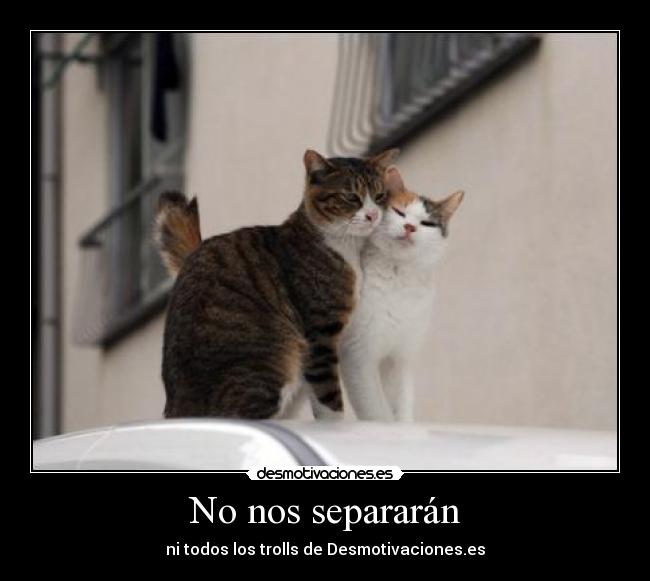 No nos separarán - ni todos los trolls de Desmotivaciones.es